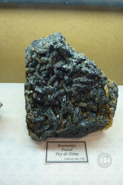 P1070819